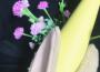 Just Like Kids (Miau)專輯_HindsJust Like Kids (Miau)最新專輯