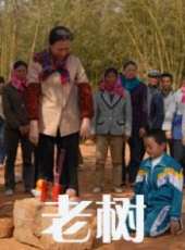 馬麗演過的電影電視劇線上看_影視作品大全_好看的明星
