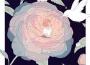 pure imagination專輯_ROOK1Epure imagination最新專輯