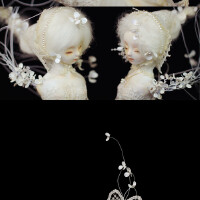 Numina圖片照片_Numina