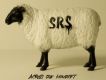 S.R.S歌曲歌詞大全_S.R.S最新歌曲歌詞