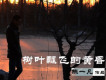 父親歌詞_陳一凡父親歌詞