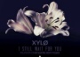 XYLØ最新歌曲_最熱專輯MV_圖片照片