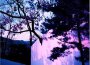 Anton Borin最新歌曲_最熱專輯MV_圖片照片