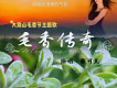 毛香傳奇