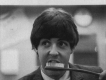 The Beatles圖片照片_The Beatles