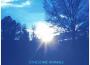 Lonesome Animals專輯_Lonesome AnimalsLonesome Animals最新專輯