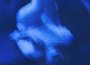 In This Room專輯_Fiji BlueIn This Room最新專輯