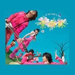 All You Need is Love專輯_紫雨林All You Need is Love最新專輯