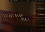 In the Mood: World War II, Big Band Classics專輯_Count Basie OrchestrIn the Mood: World War II, Big Band Classics最新專輯
