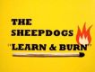 The Sheepdogs歌曲歌詞大全_The Sheepdogs最新歌曲歌詞