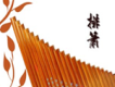 排簫歌曲歌詞大全_排簫最新歌曲歌詞