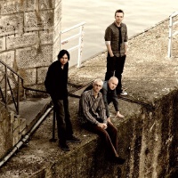 The Pineapple Thief圖片照片_The Pineapple Thief