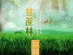 曉楓歌曲歌詞大全_曉楓最新歌曲歌詞