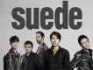 Suede樂隊圖片照片
