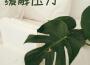 精神按摩音樂 - 舒服的背景音樂為了按摩店專輯_安靜的輕音樂精神按摩音樂 - 舒服的背景音樂為了按摩店最新專輯