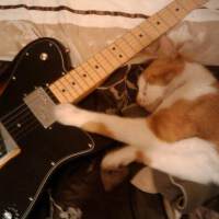 The Echelon Effect圖片照片_The Echelon Effect
