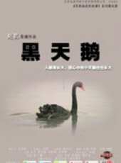 尋找海淀的故事之黑天鵝（微電影）線上看_高清完整版線上看 - 蟲蟲電影