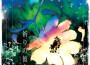 祈りの彼方 (祈禱的彼方)專輯_志方晶子祈りの彼方 (祈禱的彼方)最新專輯