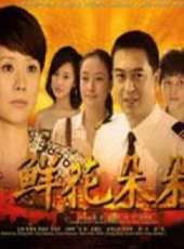 海清演過的電影電視劇線上看_影視作品大全_好看的明星