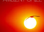 Ambient Chill專輯_ChronosAmbient Chill最新專輯