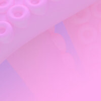 Brambles最新歌曲_最熱專輯MV_圖片照片