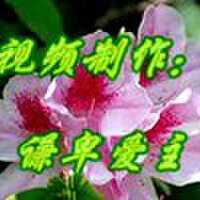 謙卑愛主圖片照片_謙卑愛主