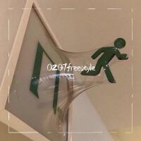 0207freestyle