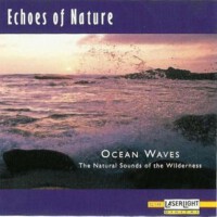 Echoes of Nature: Ocean Waves