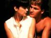 人鬼情未了歌曲歌詞大全_人鬼情未了最新歌曲歌詞