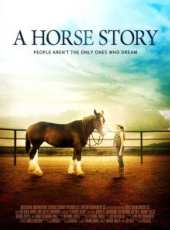 馬的故事線上看_高清完整版線上看_好看的電影
