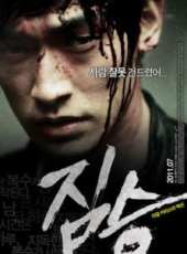 全世紅演過的電影電視劇線上看_影視作品大全_好看的明星