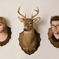 Wye Oak圖片照片_Wye Oak