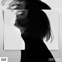 Fort Knox專輯_ElifFort Knox最新專輯