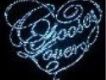 Choosey Lover[2萬枚限定生