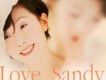 Love Sandy