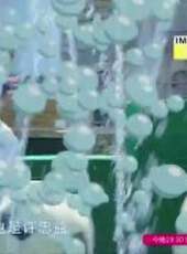 勇者大沖關最新一期線上看_全集完整版高清線上看_好看的綜藝
