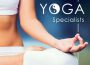 Yoga Specialists - Meditative Tracks for your Yoga專輯_Wellness N WellnessYoga Specialists - Meditative Tracks for your Yoga最新專輯