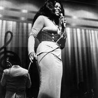 Lyn Collins圖片照片_Lyn Collins