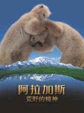 最新2020電視劇_好看的2020電視劇大全/排行榜 - 蟲蟲電視劇