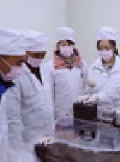 我們在行動最新一期線上看_全集完整版高清線上看_好看的綜藝