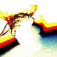 Luftwaffe圖片照片_Luftwaffe
