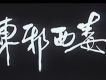 東邪西毒