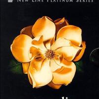 Magnolia圖片照片_Magnolia
