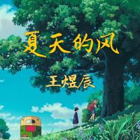夏天的風