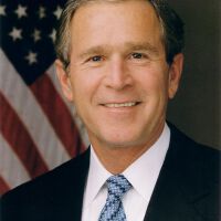 Bush圖片照片_Bush