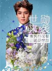 崔始源演過的電影電視劇線上看_影視作品大全_好看的明星