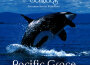 Pacific Grace Spirit of the Killer Whale專輯_Dan Gibson's SolPacific Grace Spirit of the Killer Whale最新專輯