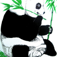 Panda圖片照片_Panda