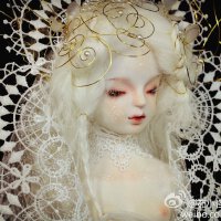 Numina圖片照片_Numina